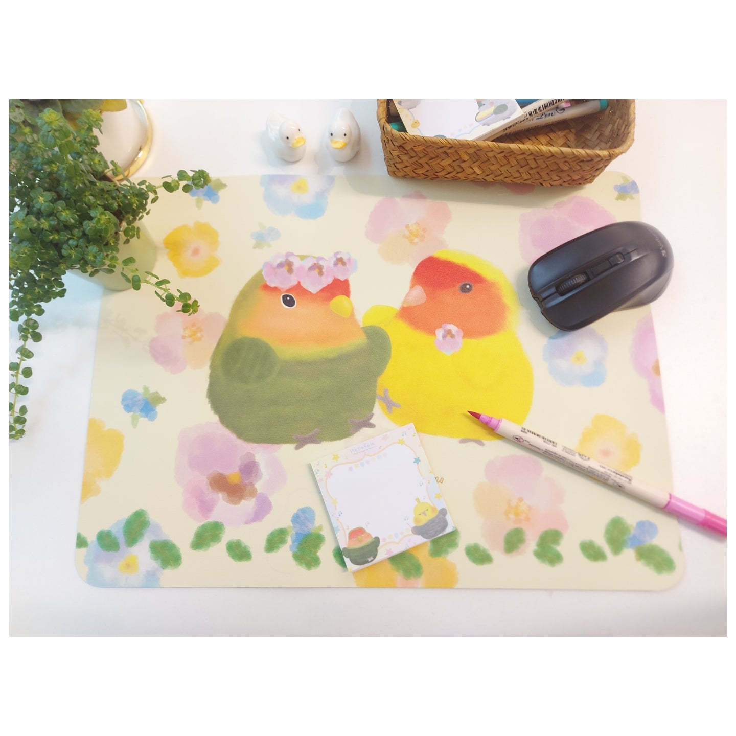 : : Table Mat: : 🌱Baby Lovebirds/ agaponis