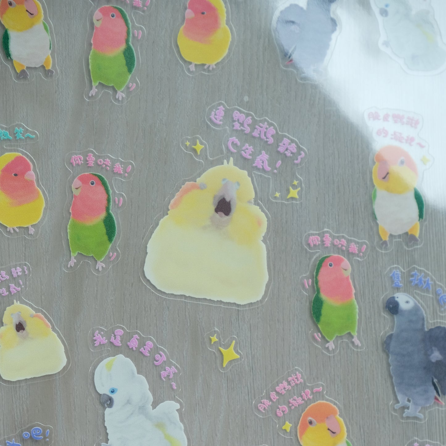 ✿ 送料無料✿ : : 透明防水ステッカー : : 🌱 Crazy Birdies