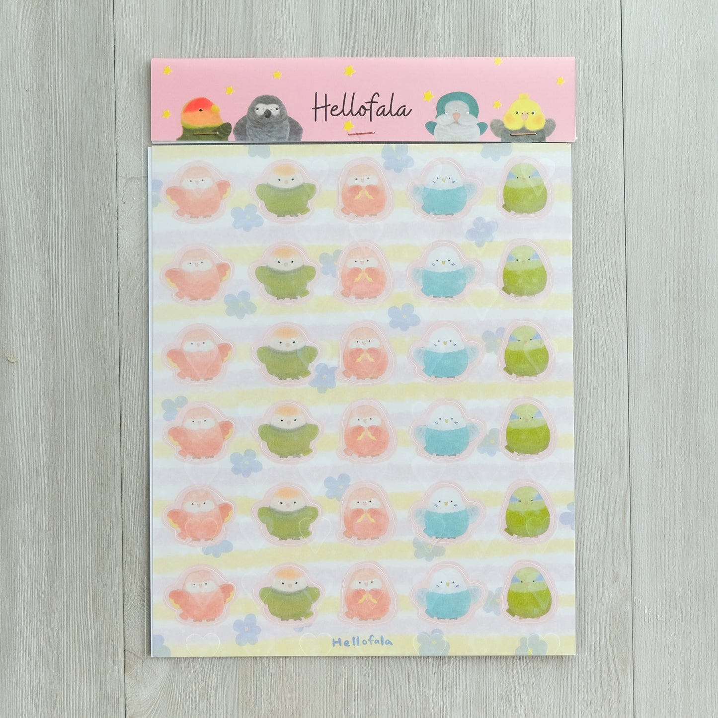 : : 防水貼紙 : :  🌱 秋草和朋友們的快樂貼紙 。• 𖡼  虎皮太平洋愛情鳥寶寶 𖡼•。