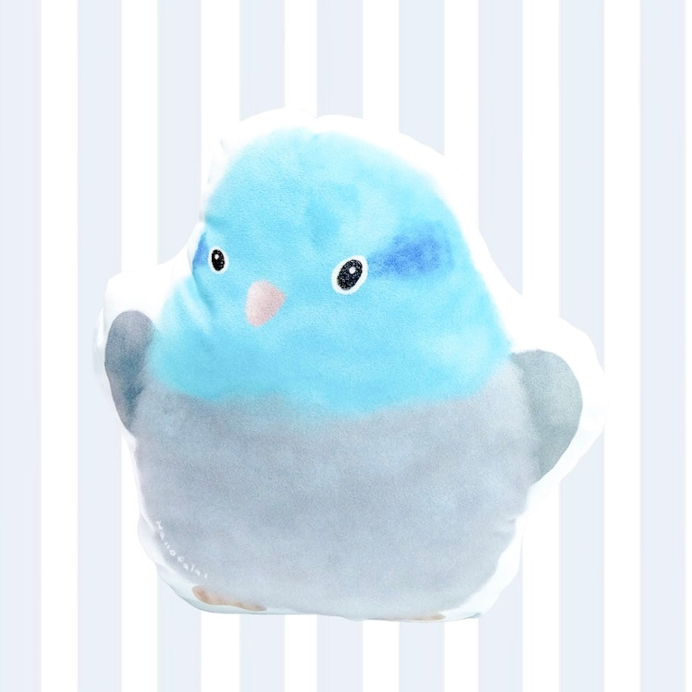 : : 小抱枕 : : 🌱 太平洋鸚鵡