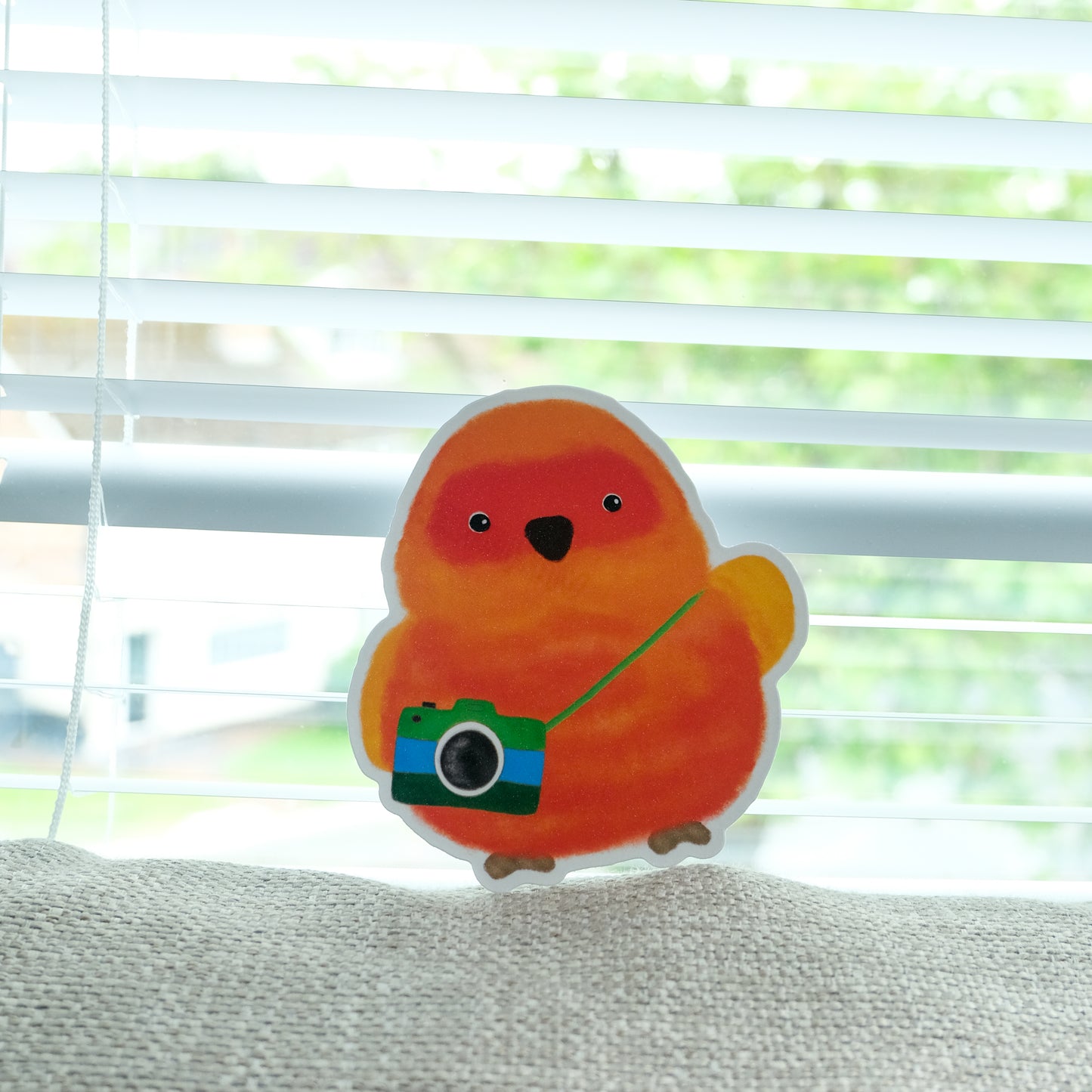 : : Big Stickers : : 🌱Sun Conure is going to take photos