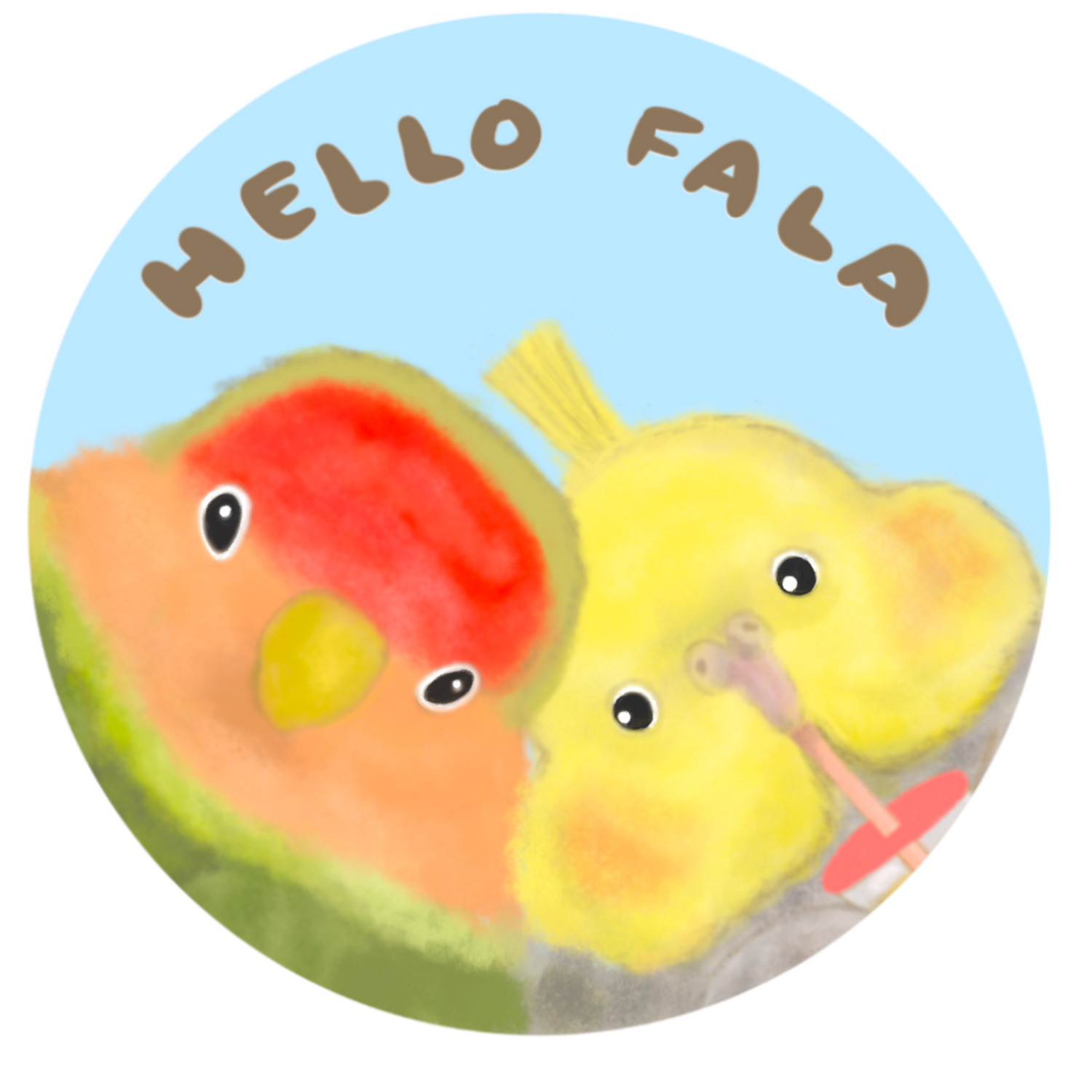 Hellofala parrot 鸚鵡愛情鳥 玄鳳
