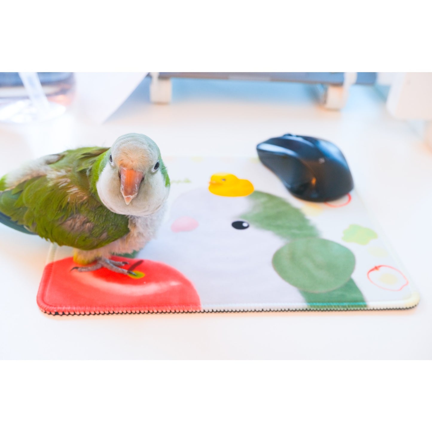 : : Mouse Pad: : 🌱Lovebird and flower