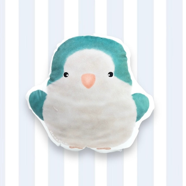 : : Cute cushion: : 🌱 Blue quaker parrot