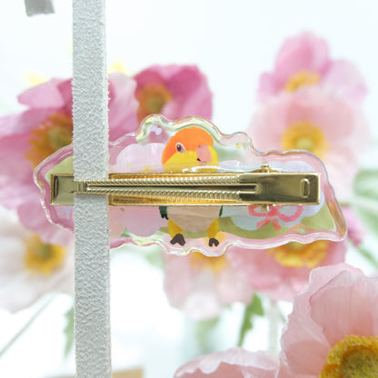 : : 果凍感髮夾 : : 🌱 凱克鸚鵡和水彩花花