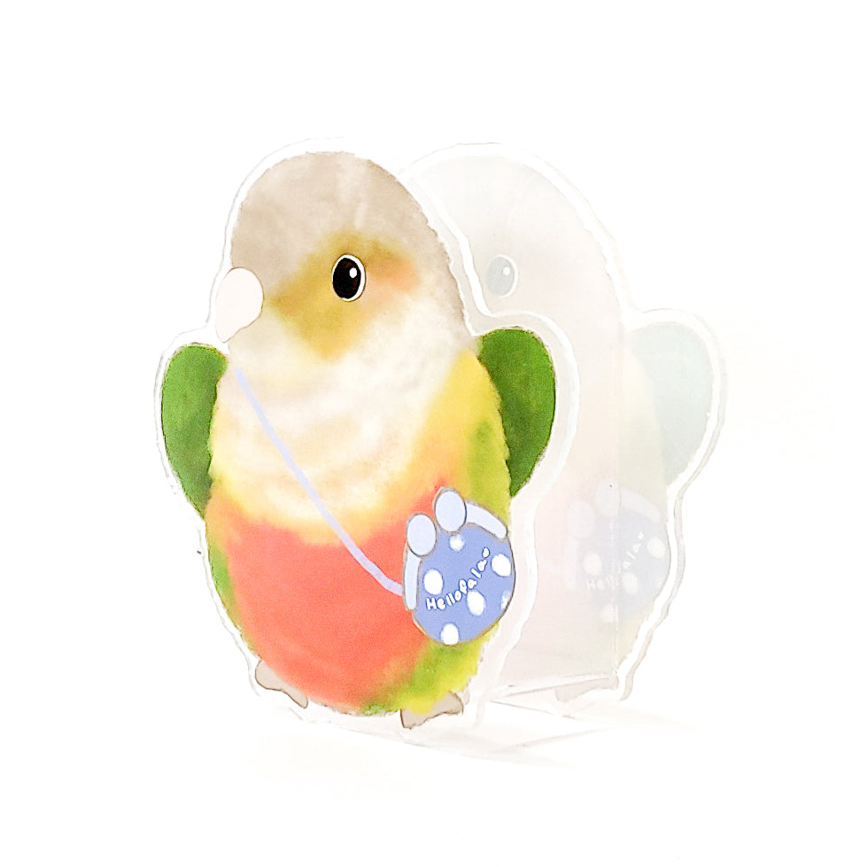 ✿ Free Shipping✿ : : Pen Holder: : 🌱Conure