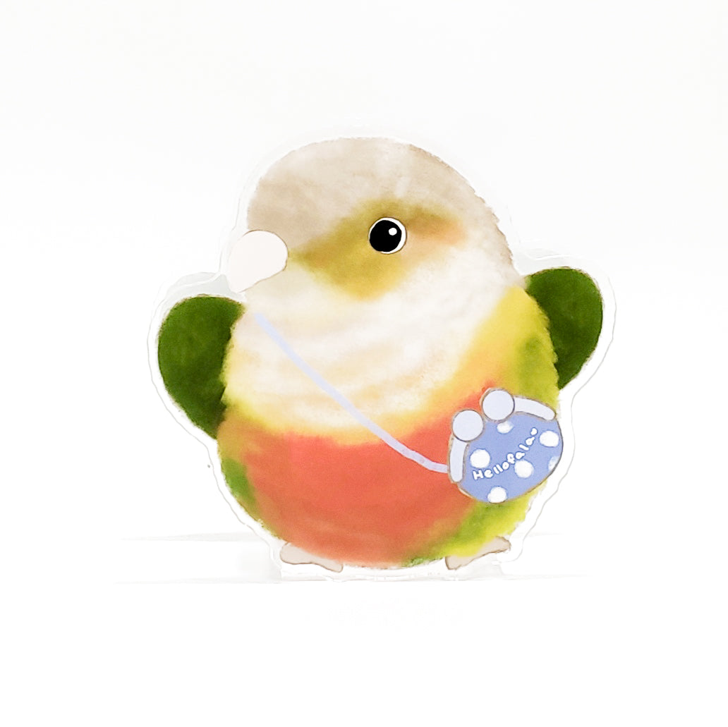 ✿ Free Shipping✿ : : Pen Holder: : 🌱Conure