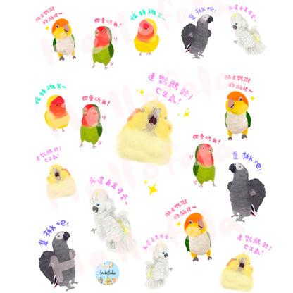 ✿ 送料無料✿ : : 透明防水ステッカー : : 🌱 Crazy Birdies